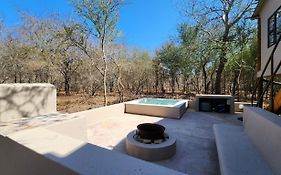 Erdvarkie At Kruger, Marloth Park
